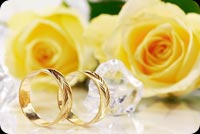 Yellow Roses, Gold Rings Happy Wedding Anniversary Background