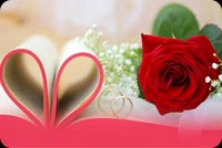 Rose, Love Rings, Happy Wedding Anniversary Background