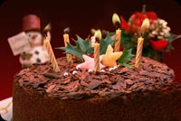 Animated Chocolate Birthday Cake With Candles email background