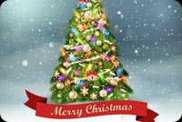 Beautiful Christmas Tree Background