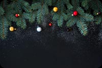 Fur-tree Branches, Colorful Glass Balls Background