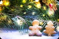 Christmas Tree & Cookies Background