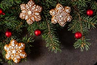 Christmas Branches Decoration Background