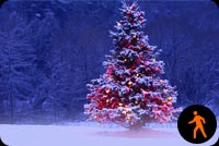 Animated Snowing Christmas Tree Background