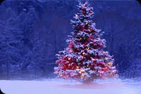 Animated Snowing Christmas Tree email background