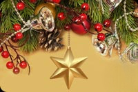 Animated: Gold Christmas Star and Evergreen email background