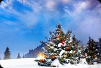 Animated: Snowy Christmas Tree in the Mountains email background