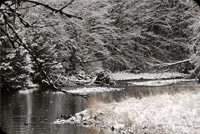 Animated: Snowy Winter River Landscape email background