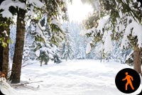 Animated Beautiful Winter Snow Background