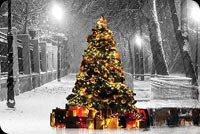 Animated: Christmas Tree in Snowy City Park email background