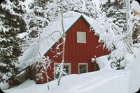 Animated: Snowy Red Cabin in Pine Forest email background