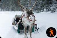 Animated: Reindeer Pulling Snow Sled Background