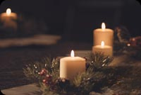 Animated: Christmas Candles in Evergreen email background