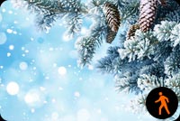 Animated: Winter Snow Branches Background
