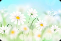 Spring Easter Flowers Background