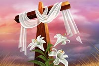 Easter Flowers & The Cross Background