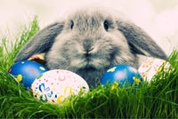 Happy Easter Day Background