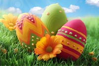 Colorful Easter Eggs & Flowers Background