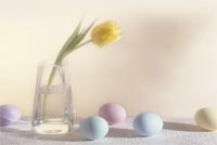 Easter Flower Greetings Background