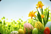 Colorful Easter Eggs Background