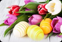 Colorful Easter Flowers Tulips, Eggs Decoration Background