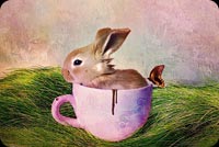 Cute Bunny In The Cup Background