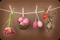 Hanging Brown Basket Eggs, Bunny & Flower Background