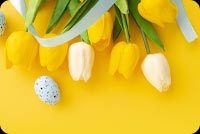Tulips & Paschal Eggs On Yellow Background Background