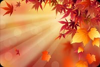 Fall Autumn Leaves Background