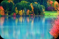 Colors Of Fall Background