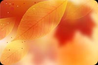 Fall Leaves Autumn Theme Background