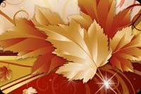 Cool Autumn Floral  Background