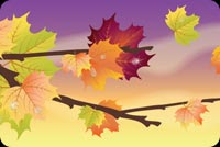 Beautiful Autumn Background