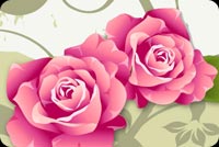 Beautiful Roses Background