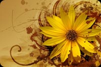 Warm Abstract Flower Background