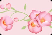 Pretty Flowers Background