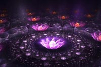 Magic Flower Background