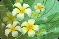 Flower Art Green & Yellow Background