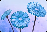 Flower Art Blue Background