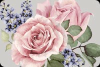 Beautiful Watercolor Rose Flower Background