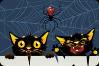 Black Cats & Spider Halloween Background