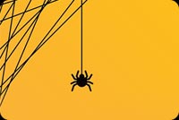 Spider Trick Or Treat Background