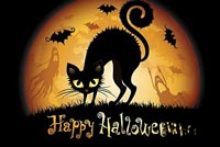 Animated: Black Cat on Full Moon email background