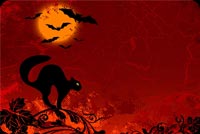 Halloween Moon, Bats & Black Cat Background