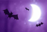 The Bats & The Moon Background