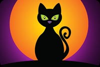 Black Cat Halloween Moon Background