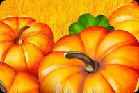 Pumpkin Field Background