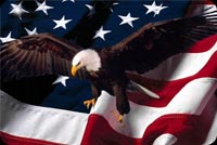 Eagle Usa Flag Background