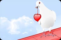 Love Bird Background