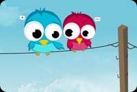 Love  Birds Background